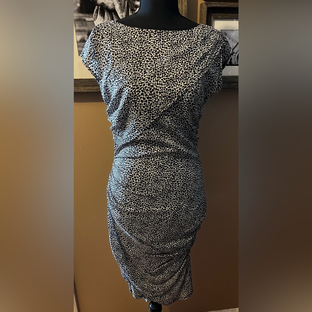 Ann Taylor Silk Dress